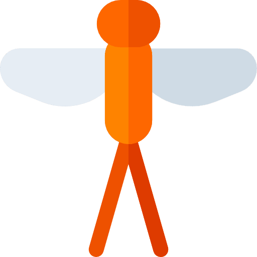 Dragonfly animals dragonfly entomology icon