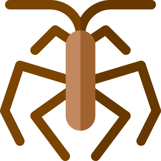 Gerridae bug insect entomology icon