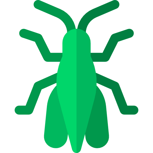 Grasshopper grasshopper bug insect icon