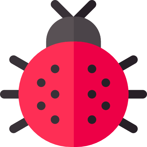 Ladybug entomology insect bug icon
