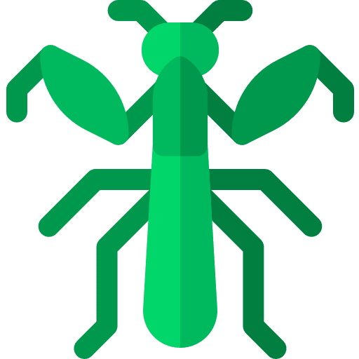 Mantis entomology mantis insect icon