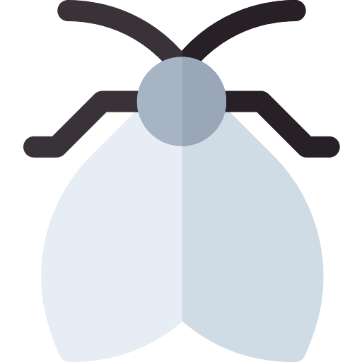 Moth animals insect moth icon