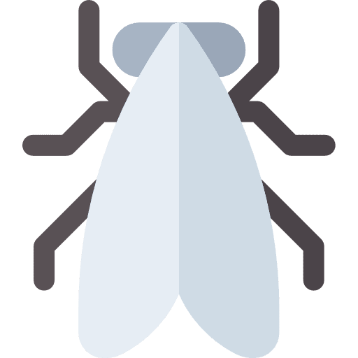 Moth bug insect entomology icon