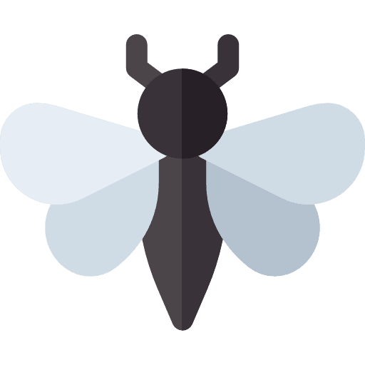 Moth moth entomology insect icon