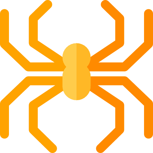 Spider bug insect spider icon