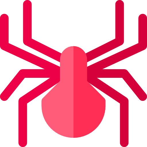 Spider bug spider animals icon