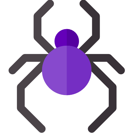 Spider entomology bug insect icon
