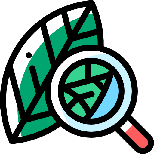 Leave loupe magnifying glass glass icon