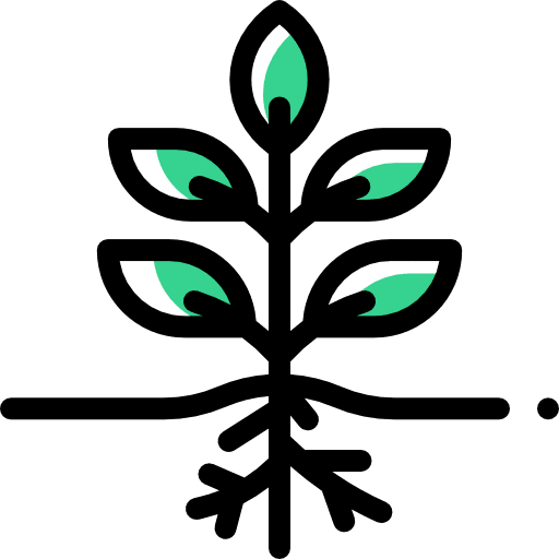 Plant leaves leaf plant icon
