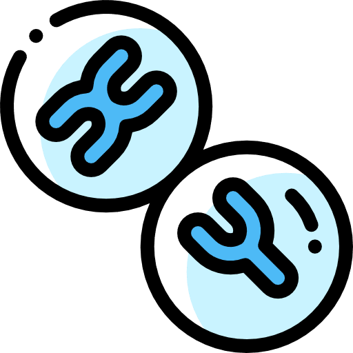 Chromosome sciences education chromosome icon
