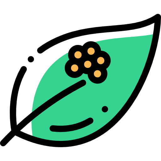 Eggs frog nature herbal icon