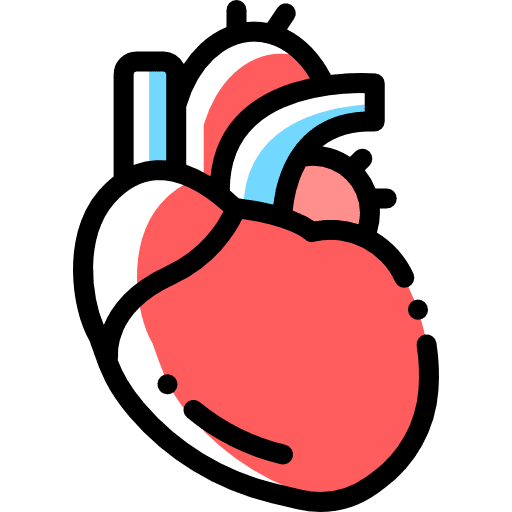 Heart cardiology body part organ icon