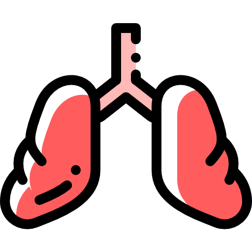 Lungs medicine lung anatomy icon