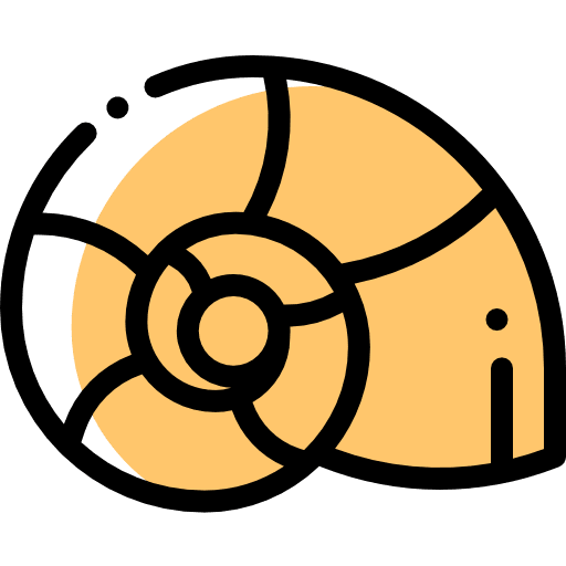 Snails animal snails conch shell icon