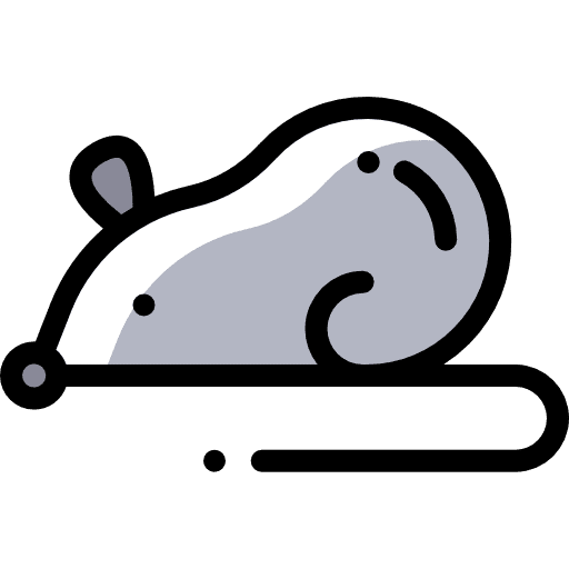 Mouse mouse experiments animals icon