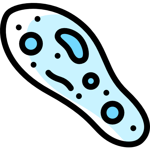 Paramecium bacteria experimentation microorganism icon
