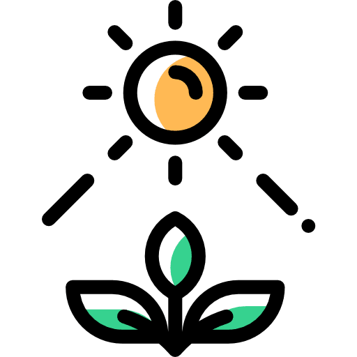 Photosynthesis sprout sun nature icon