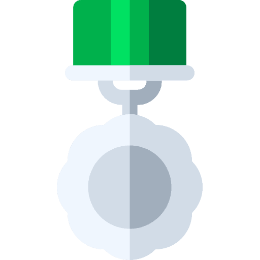 Medal reward insignia medal icon