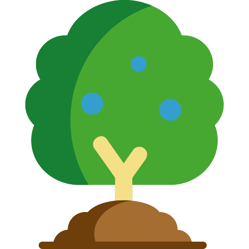 Blueberry bush plant fruits icon