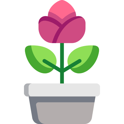 Tulip tulip garden blossom icon