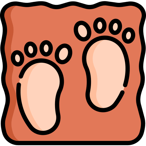 Footprints parts feet people icon