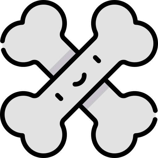 Bones animals dinosaurs cultures icon