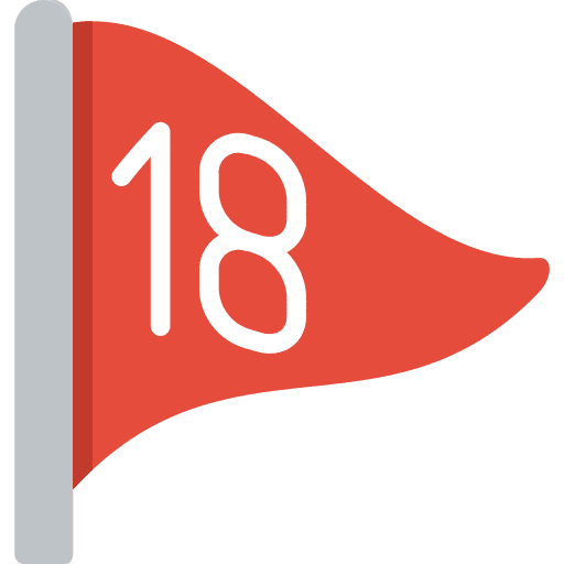 Birdie leisure golf sports icon