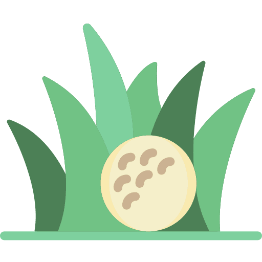 Golf ball golf ball golf ball icon