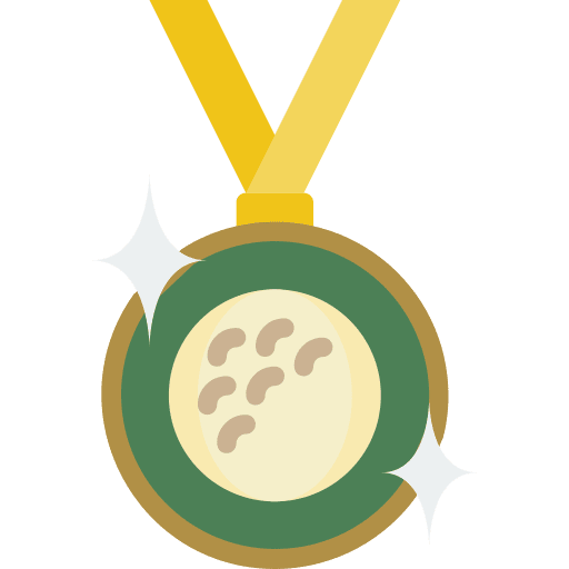 Medal sports and competition award certificate icon