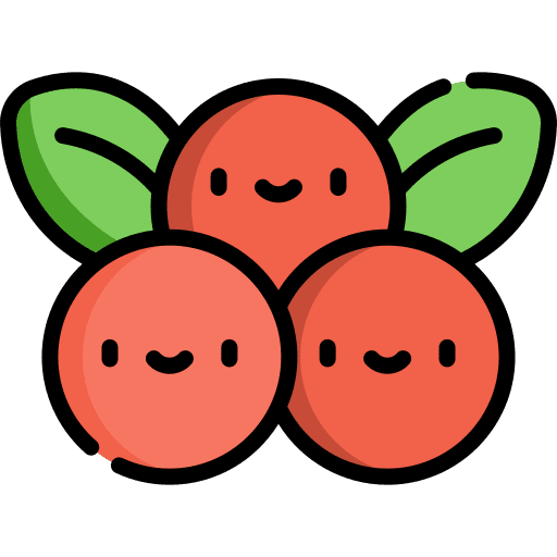 Berries healthy food diet fruit icon