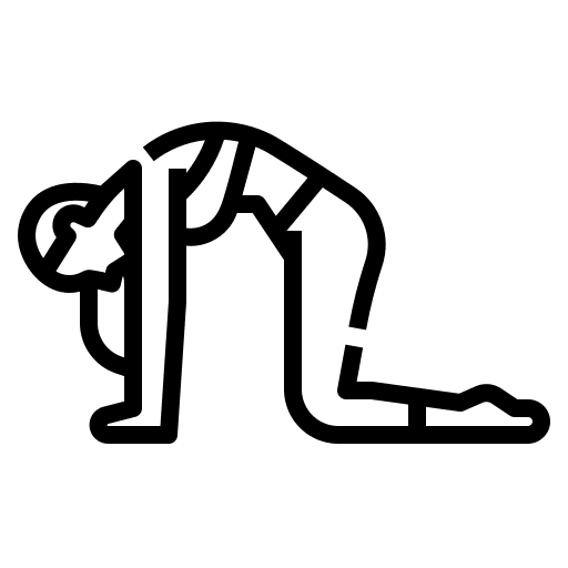 Cat yoga cat wellness icon