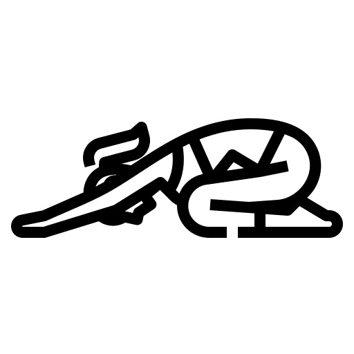 Extended pose fitness extended icon