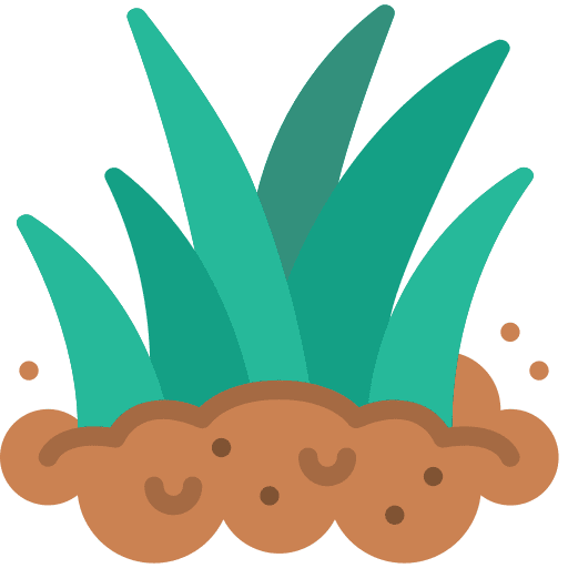 Grass grass lawn leaves icon