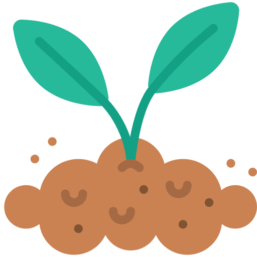 Plant herbs maturity plant icon