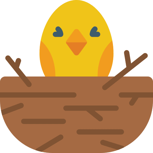 Chick nest bird wildlife icon