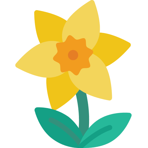 Daffodil blossom daffodil botanical icon