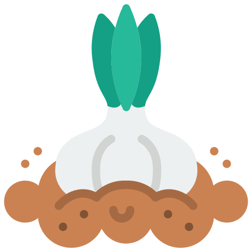 Garlic food vegetable clove garlic icon