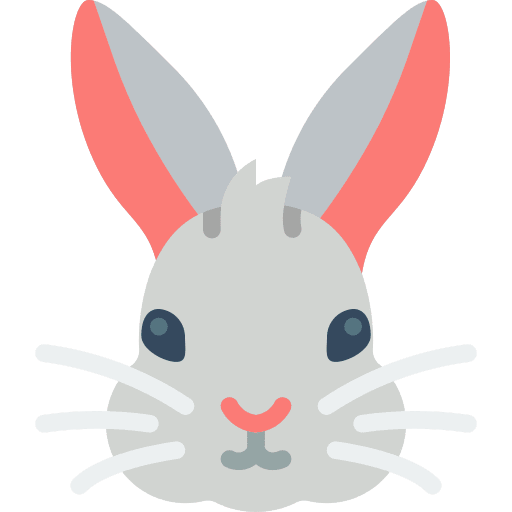 Rabbit fluffy bunny animals icon