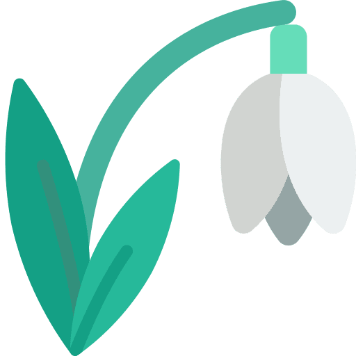 Snowdrop plant botanic flower icon