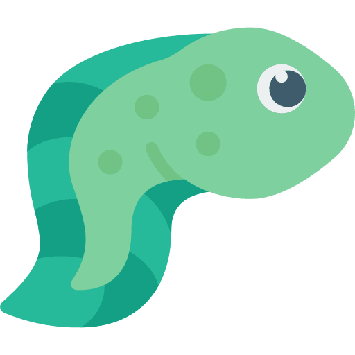 Tadpole amphibian animals lifecycle icon