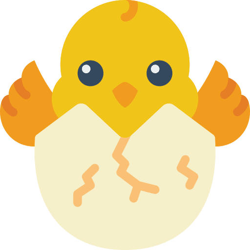 Chick season chicken animals icon