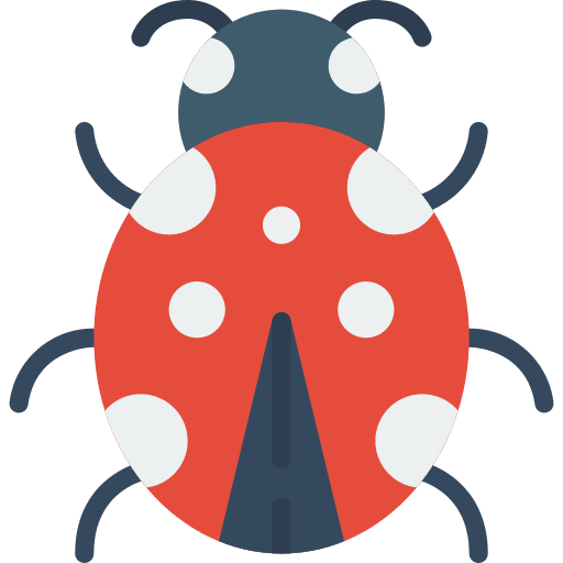 Ladybird animal insect bug icon
