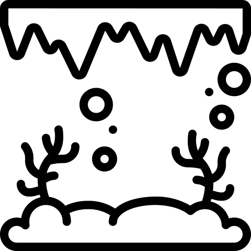 Cave sea life nature aquatic icon