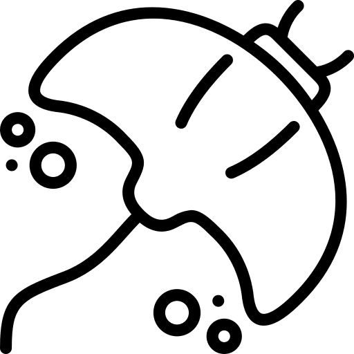 Manta ray sea life aquarium aquatic icon