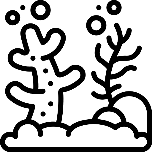 Reef coral reef underwater animals icon