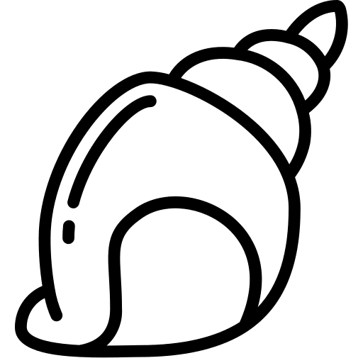 Shell shell aquarium conch shell icon