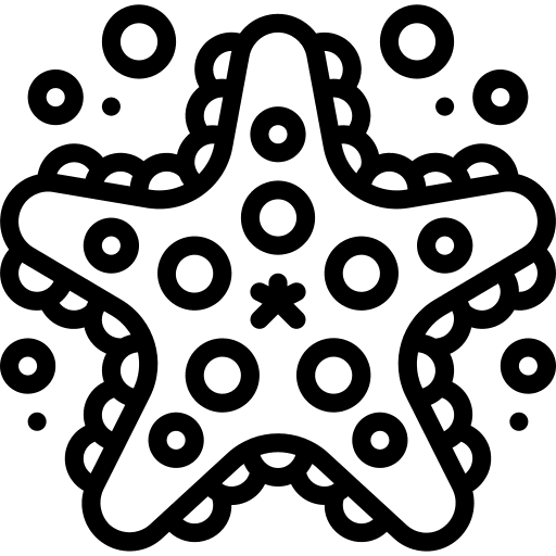 Starfish starfish animals sea life icon