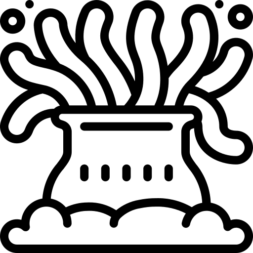 Coral animal kingdom coral sea life icon