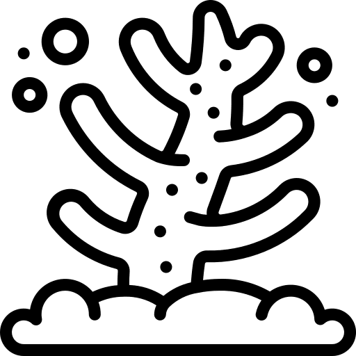 Coral animals marine sea icon