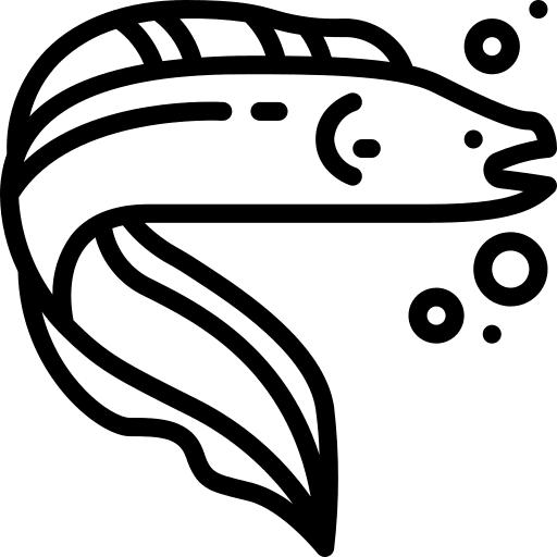 Fish marine aquatic fish icon